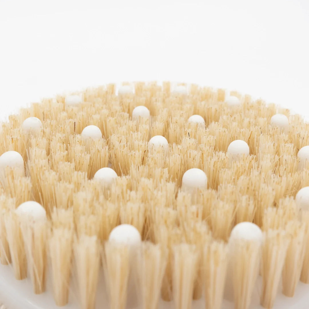 Cepillo Masajeador Corporal Estimulante Holy